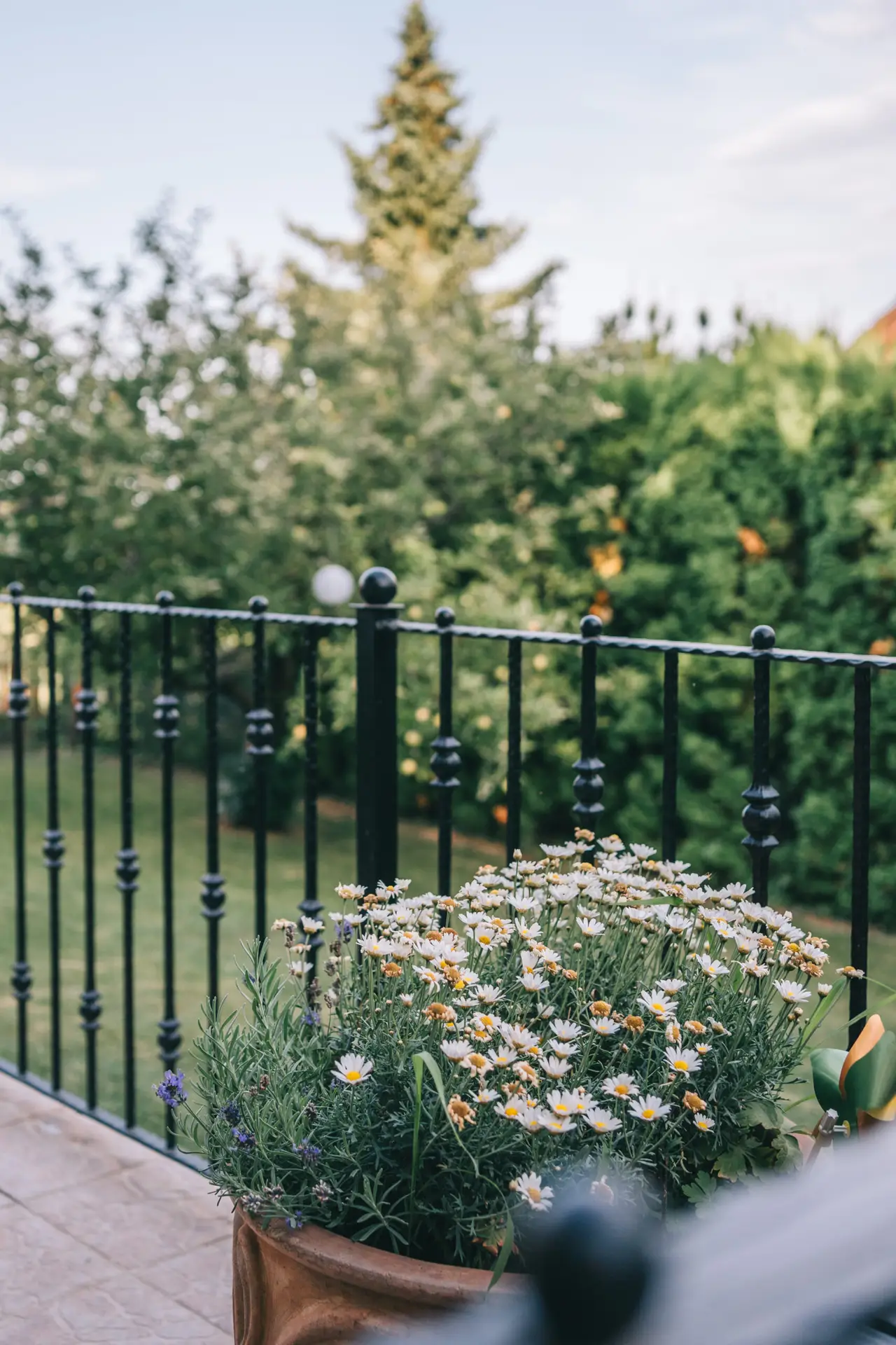Garden, terrace & balcony — 13